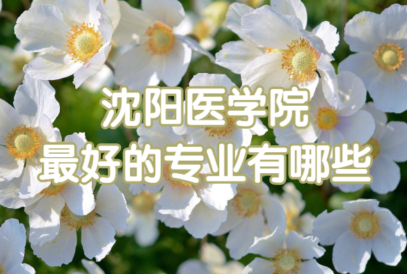 1650875723125157.png 沈阳医学院最好的专业有哪些?(附专业排名及专业录取分数线)