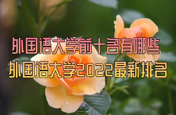 1651211797104739.png 外国语大学前十名有哪些 外国语大学2024最新排名一览表