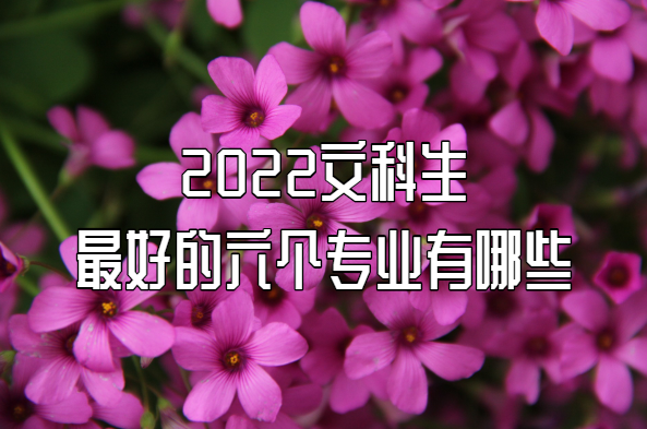 2023ĿõרҵЩĿרҵһ