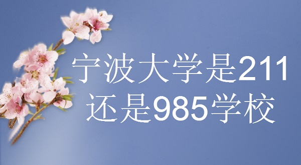 ѧ211985ѧУǣ