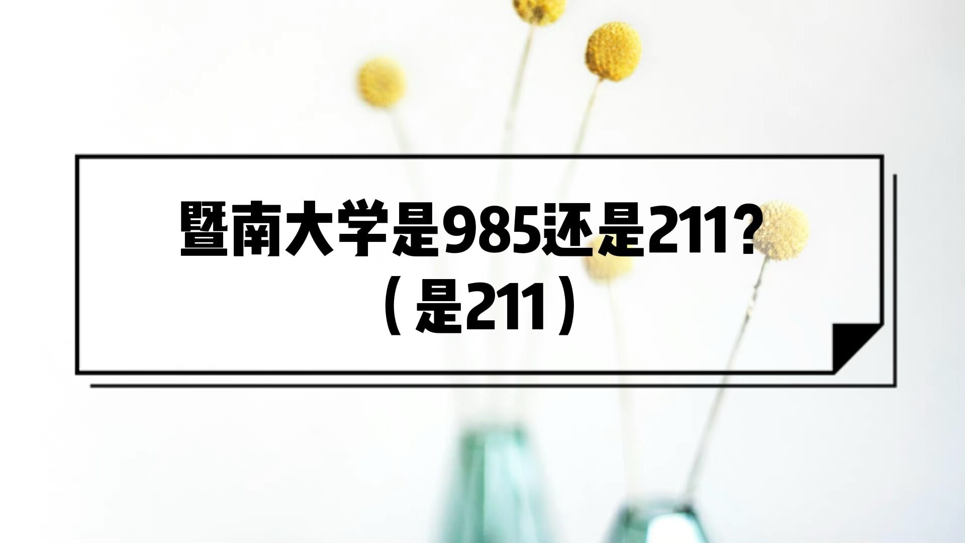 ϴѧ985211ѧ211