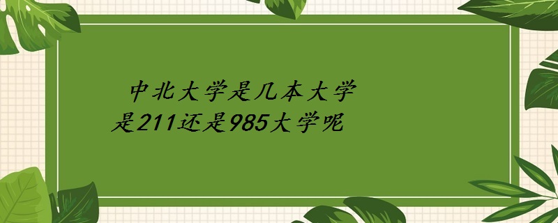 бѧǼѧ 211985ѧأ