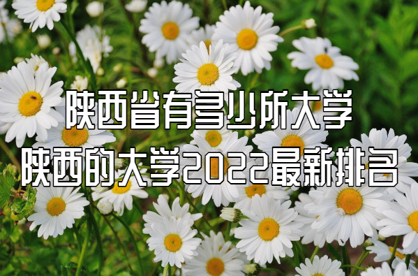 Ĵѧ2023һ ʡжѧ87