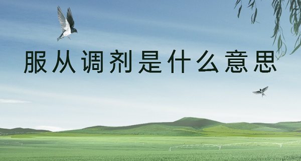 ӵʲô˼ ӵͲӵ