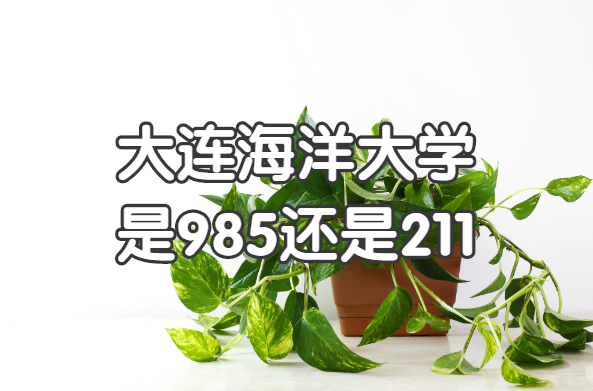 ���������ѧ��985����211ѧУ����������ʡ985/211ԺУһ������