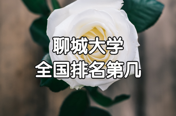 ĳǴѧȫڼ2023µ244
