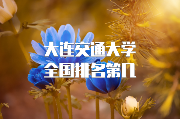 ͨѧȫڼ2023µ230