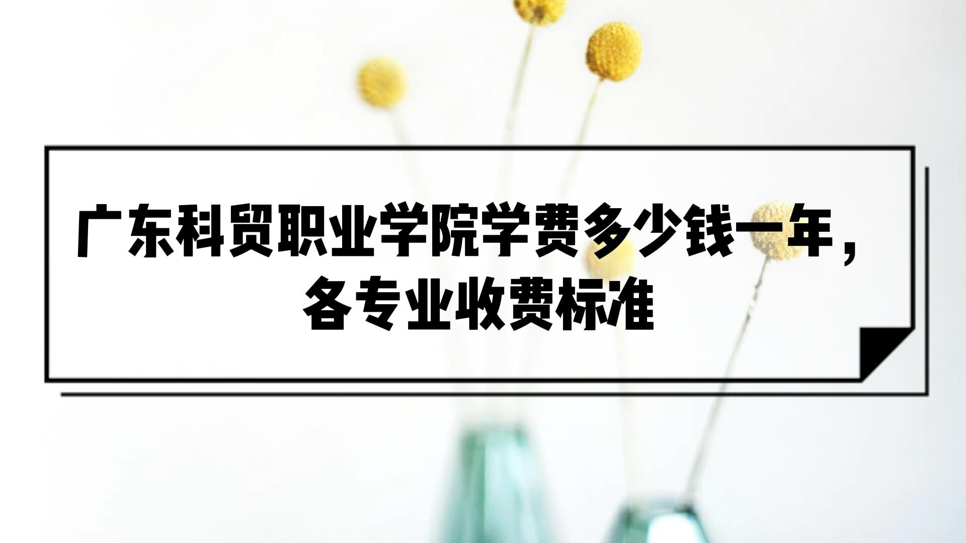㶫óְҵѧԺѧ2023Ǯһ꣬רҵշѱ׼