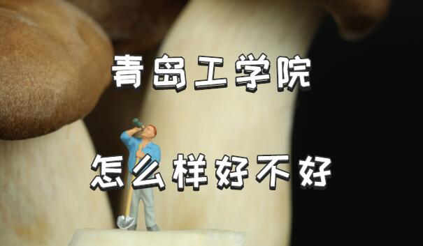 ൺѧԺôòãʲôΡרҵԺУڱ