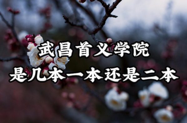 �������ѧԺ�Ǽ�����һ�����Ƕ�������������ʡ����רҵһ������