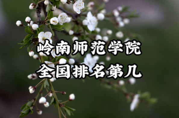 ʦѧԺȫڼ2023µ353