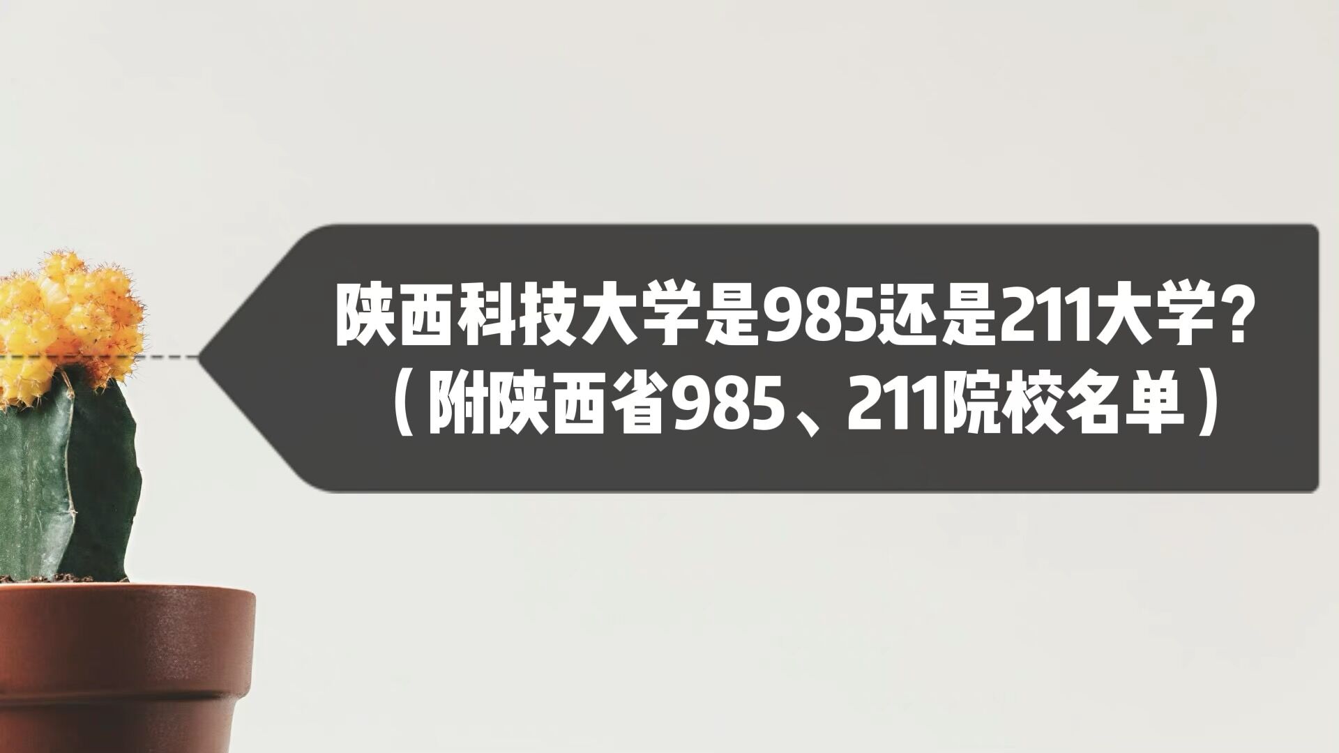 Ƽѧ985211ѧʡ985211ԺУ
