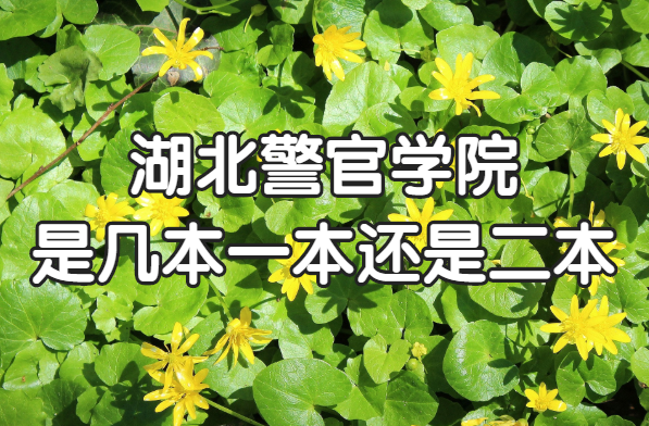 ѧԺǼһǶʡԺУһ