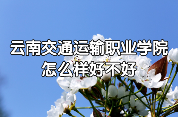 1653033701477007.png 云南交通运输职业学院怎么样好不好?(什么档次、王牌专业、口碑
