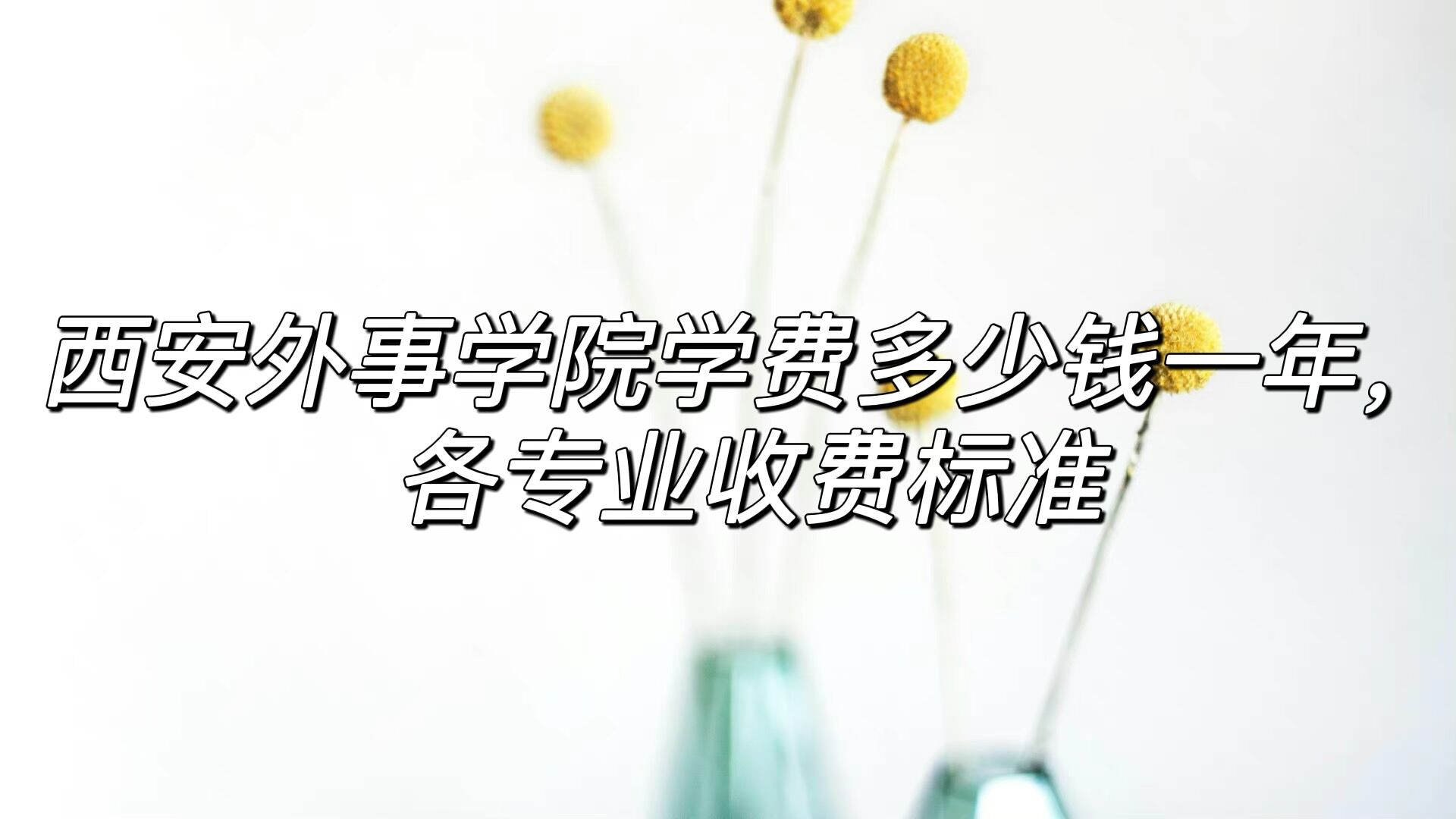 ѧԺѧ2023Ǯһ꣬רҵշѱ׼