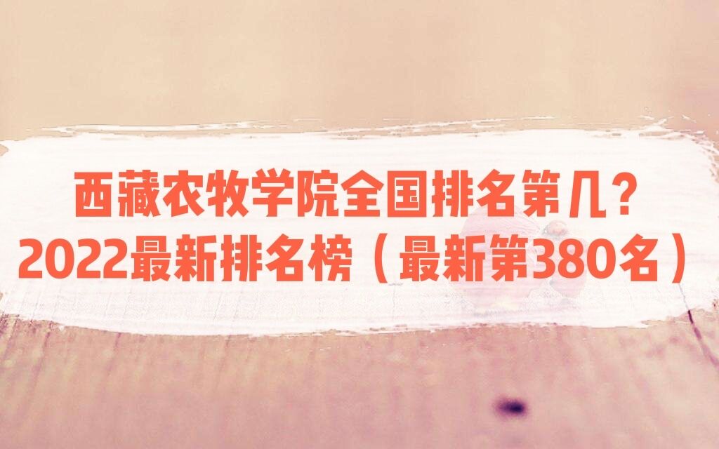 ũѧԺȫڼ2023µ380