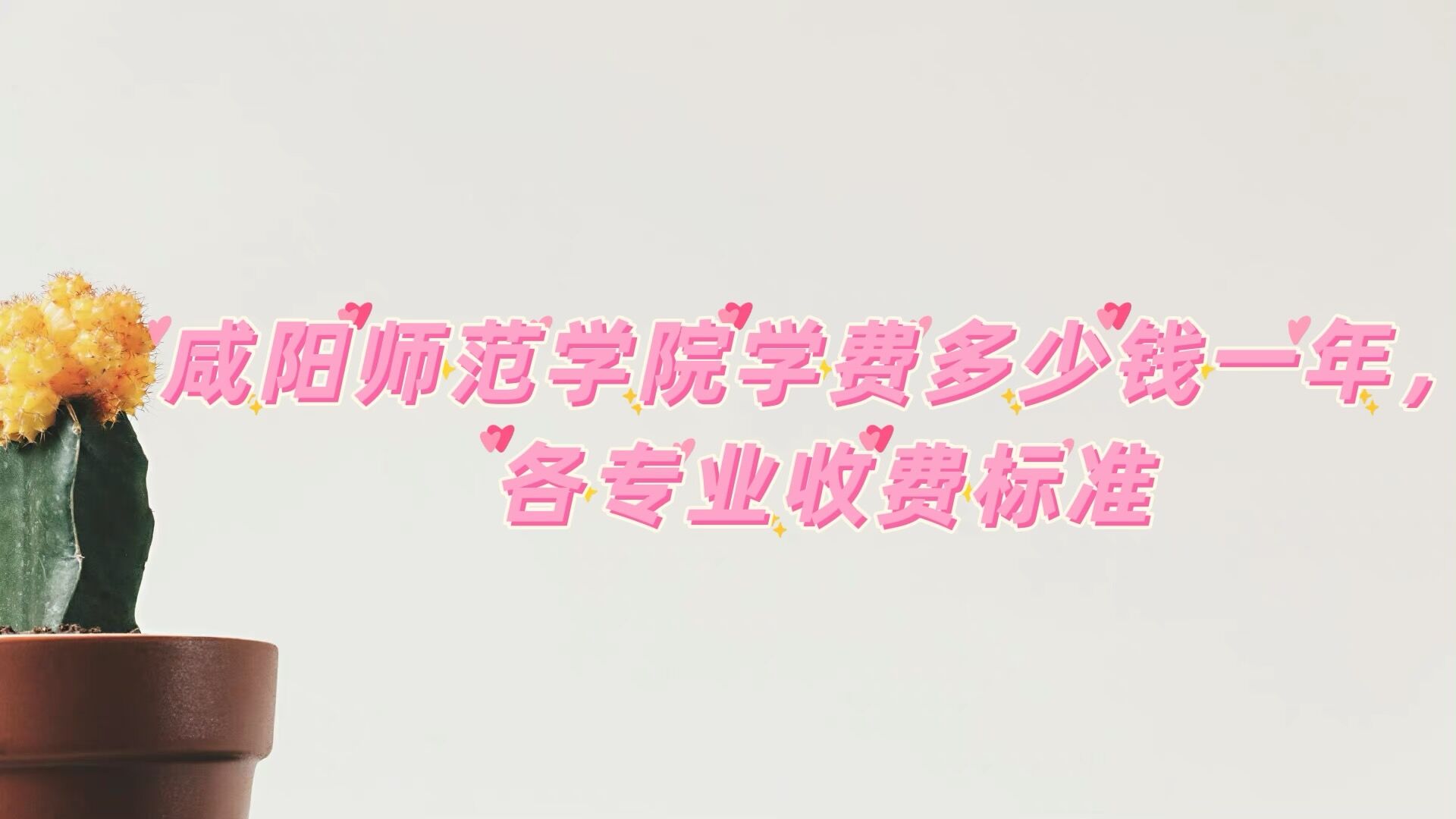 ʦѧԺѧ2023Ǯһ꣬רҵշѱ׼