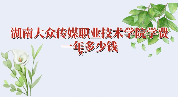 ϴڴýְҵѧԺѧ2023һǮרҵѧ2023շѱ׼