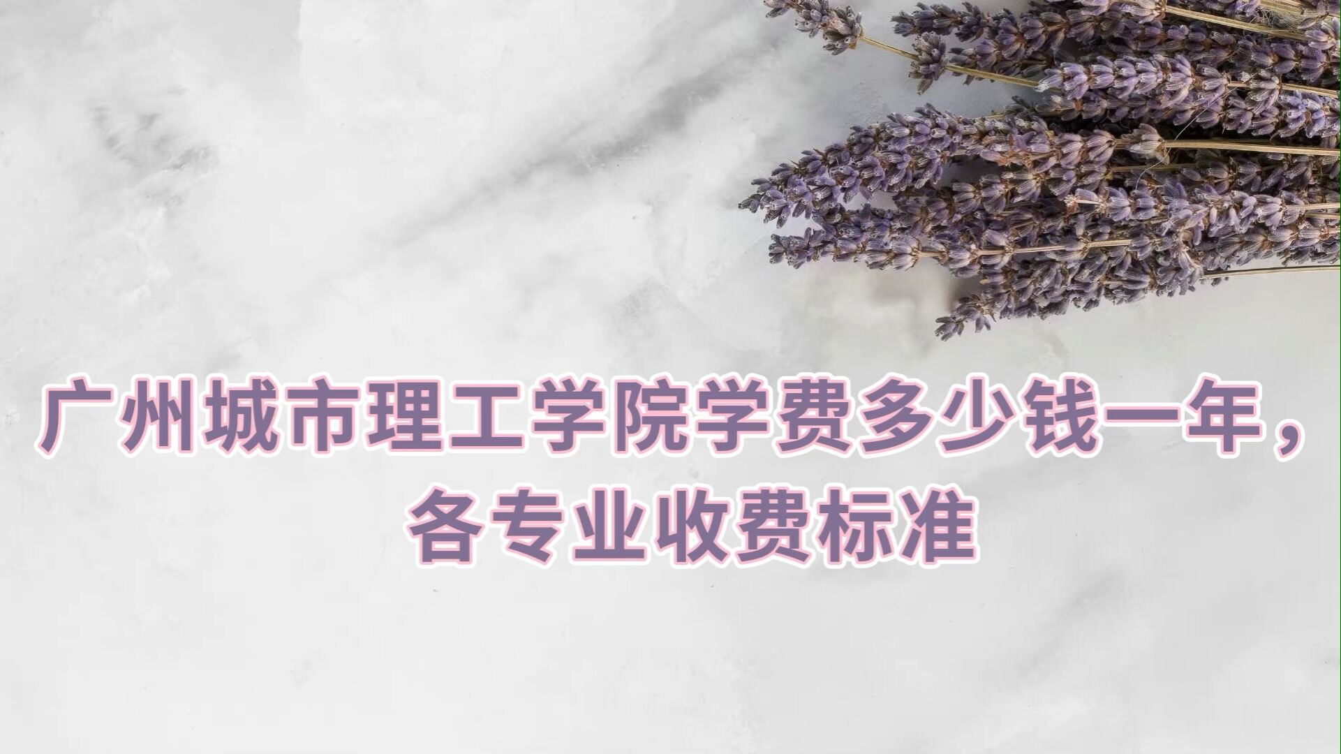 ݳѧԺѧ2023Ǯһ꣬רҵշѱ׼