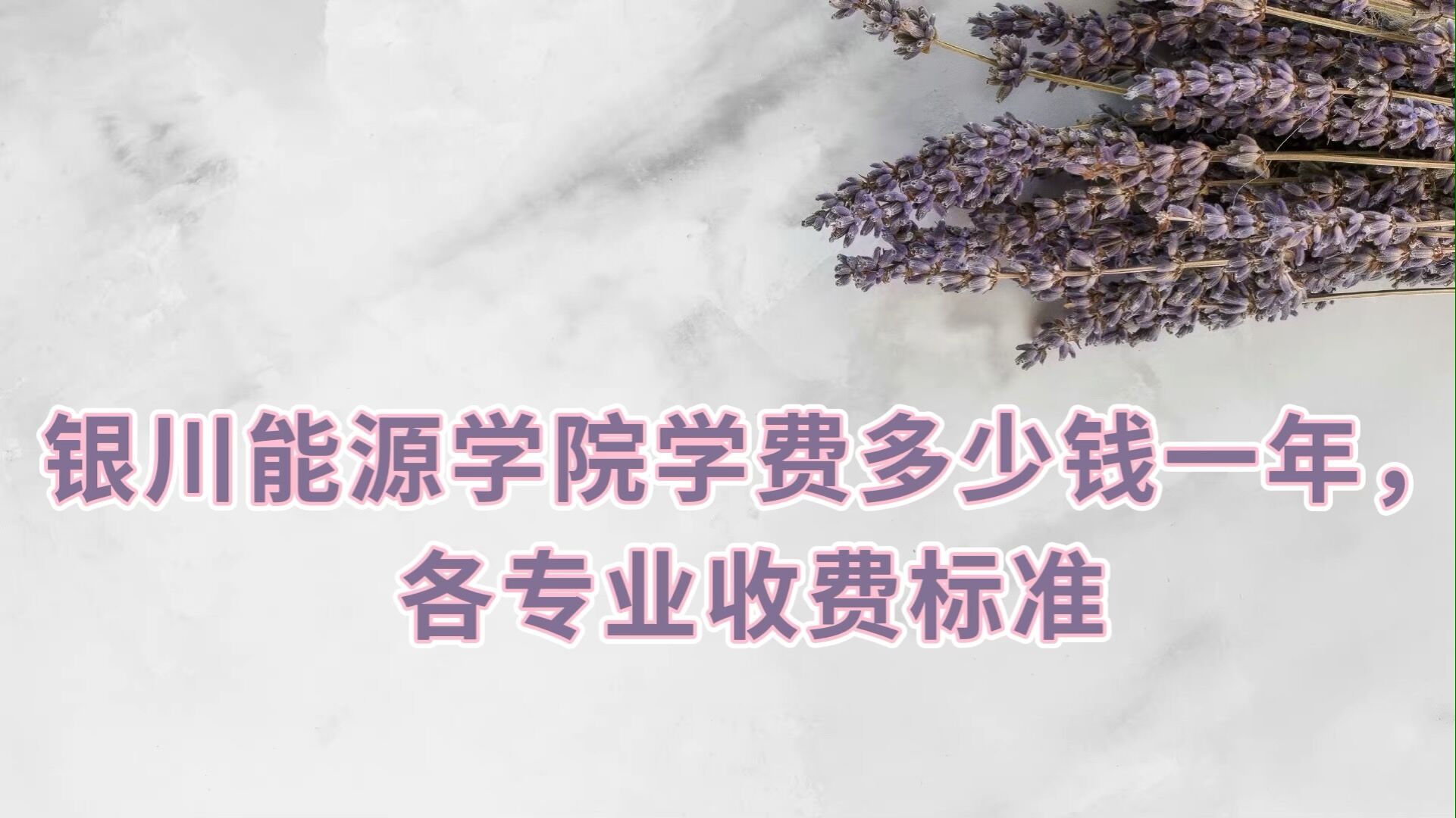 ԴѧԺѧ2023Ǯһ꣬רҵշѱ׼