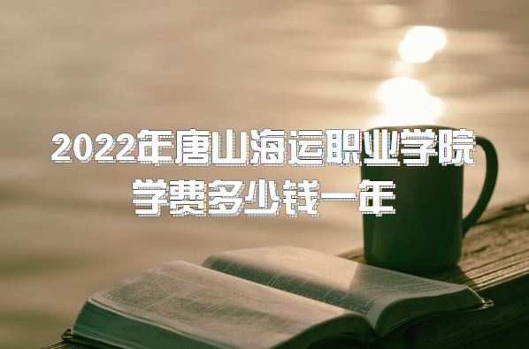 2023ɽְҵѧԺѧѶǮһ꣨רҵշѱ׼һ