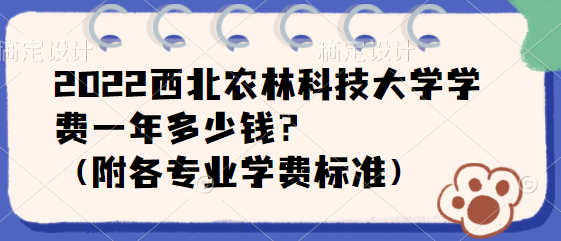 2023ũֿƼѧѧһǮרҵѧѱ׼