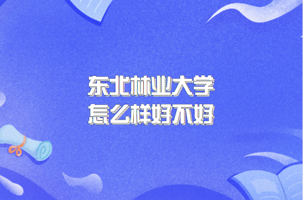 ҵѧôòãʲôΡרҵԺУڱ