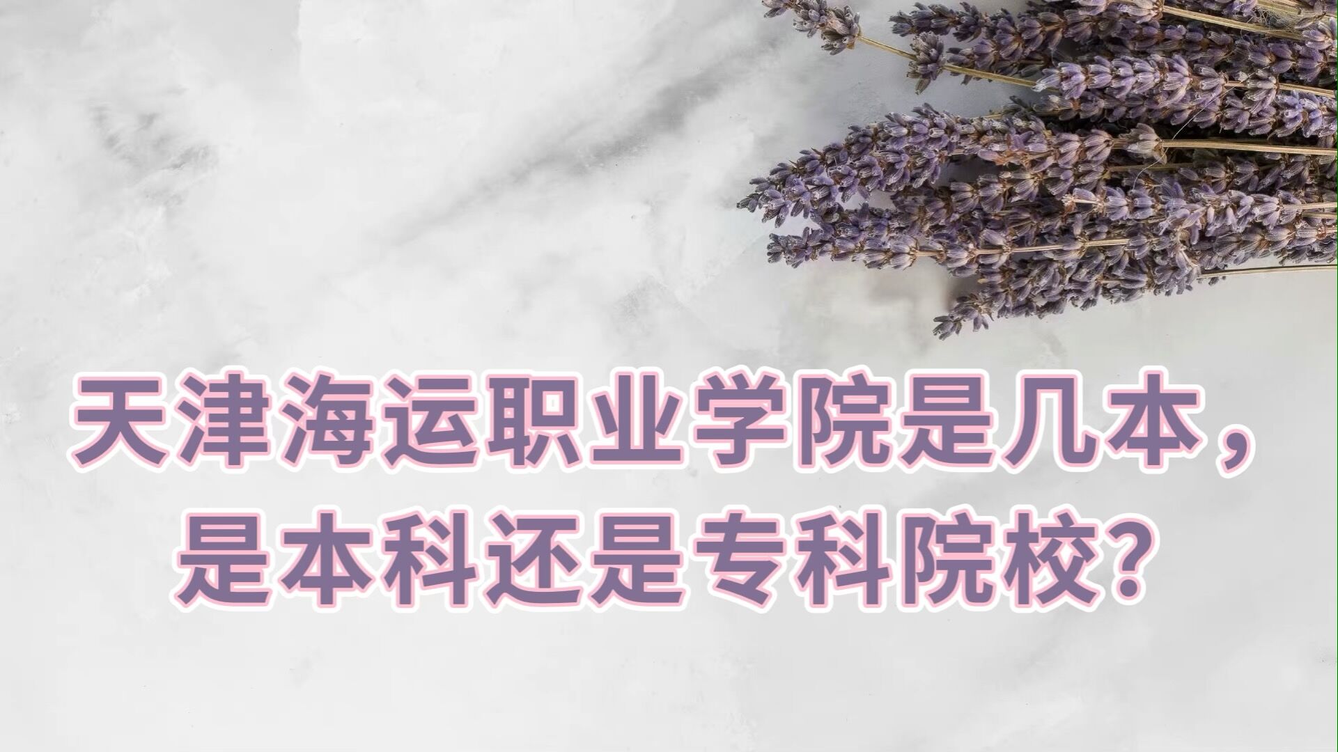 ְҵѧԺǼǱƻרԺУ