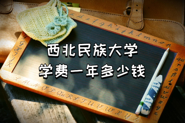 2023���������ѧѧ��һ�����Ǯ������רҵ�շѱ�׼һ������