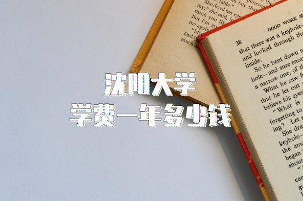 2023ѧѧһǮרҵշѱ׼һ