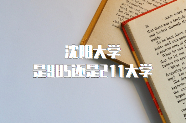 ѧ985211ѧʡ985/211ԺУһ