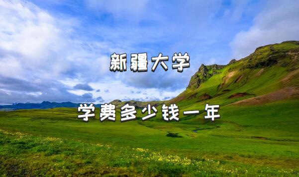 2023½ѧѧѶǮһꣿרҵշѱ׼һ