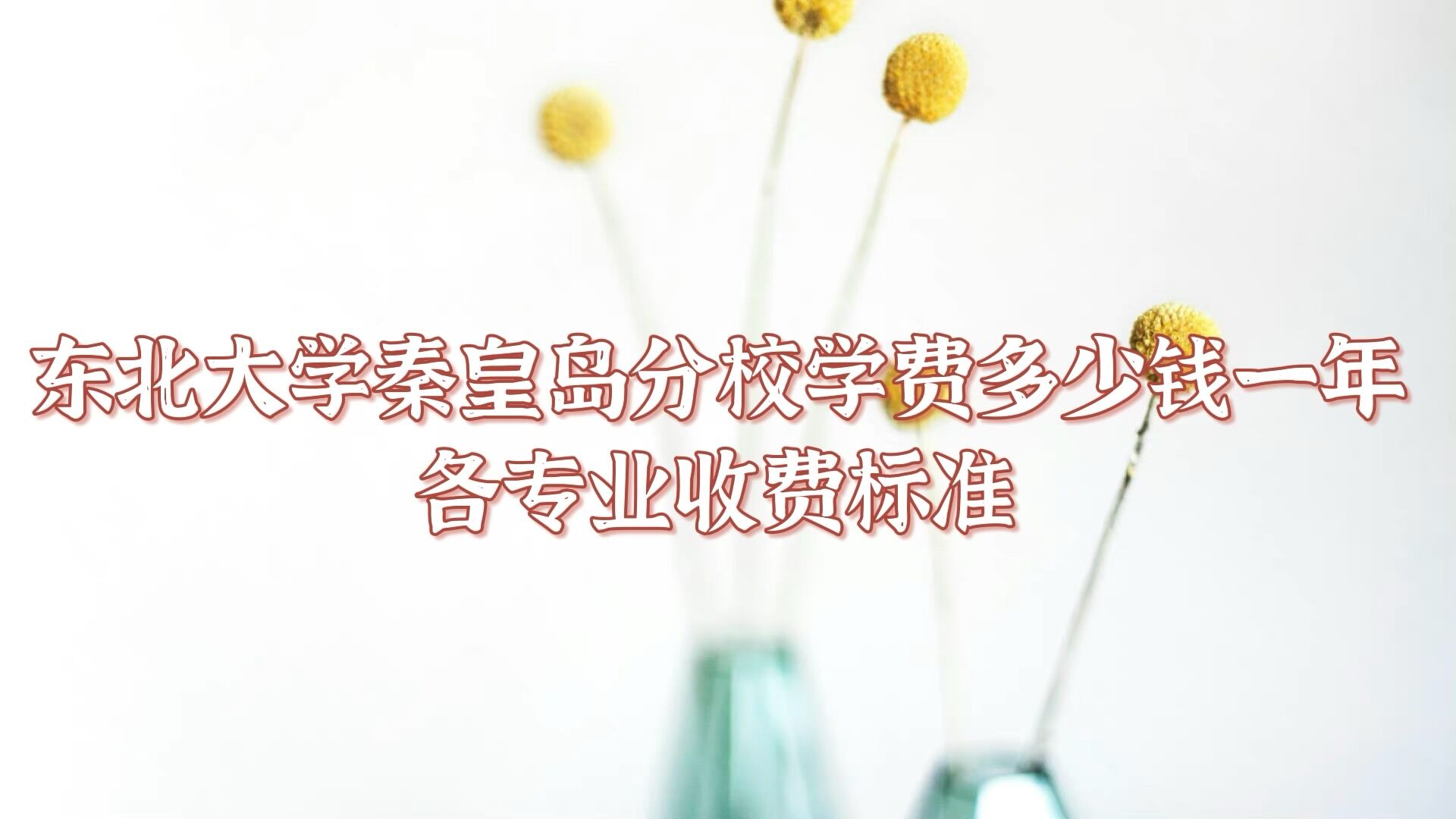 2023ѧػʵУѧѶǮһ꣬רҵշѱ׼