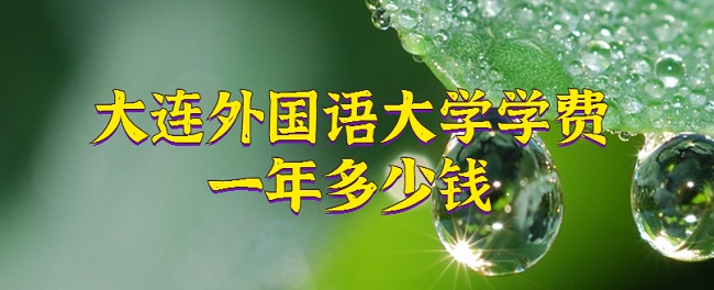 2023ѧѧһǮרҵշѱ׼