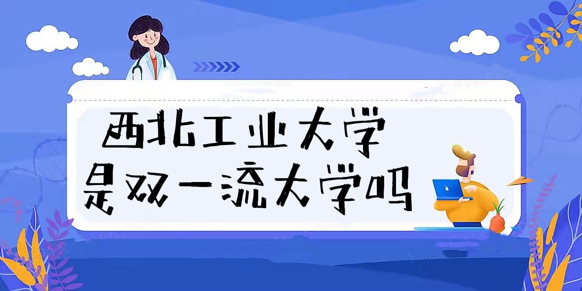 ҵѧ˫һѧЩѧѡ