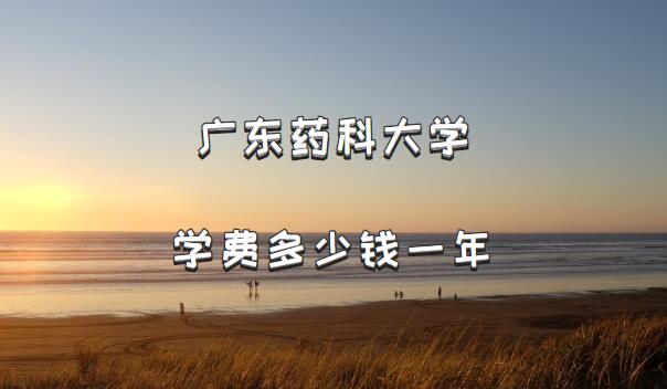 2023��㶫ҩ�ƴ�ѧѧ�Ѷ���Ǯһ�ꣿ������רҵ�շѱ�׼һ������