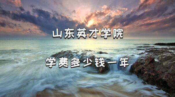 2023ɽӢѧԺѧѶǮһꣿרҵշѱ׼һ