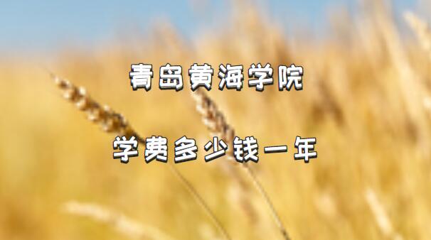 2023ൺƺѧԺѧѶǮһꣿרҵշѱ׼һ