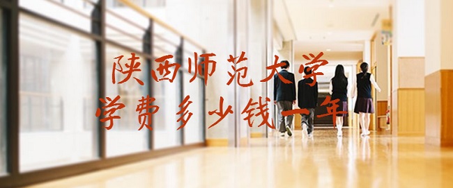 2023ʦѧѧѶǮһꣿרҵշѱ׼