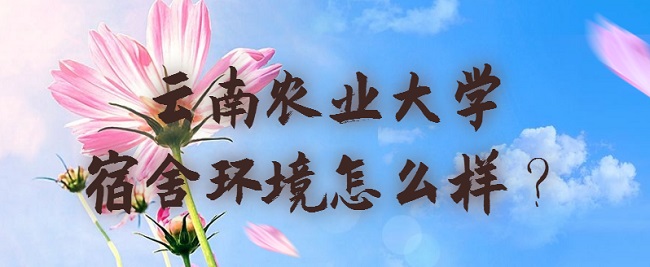 ũҵѧỷôпյ𣿣ʵھͼƬ