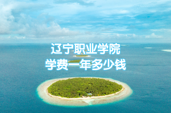 2023ְҵѧԺѧһǮרҵշѱ׼һ