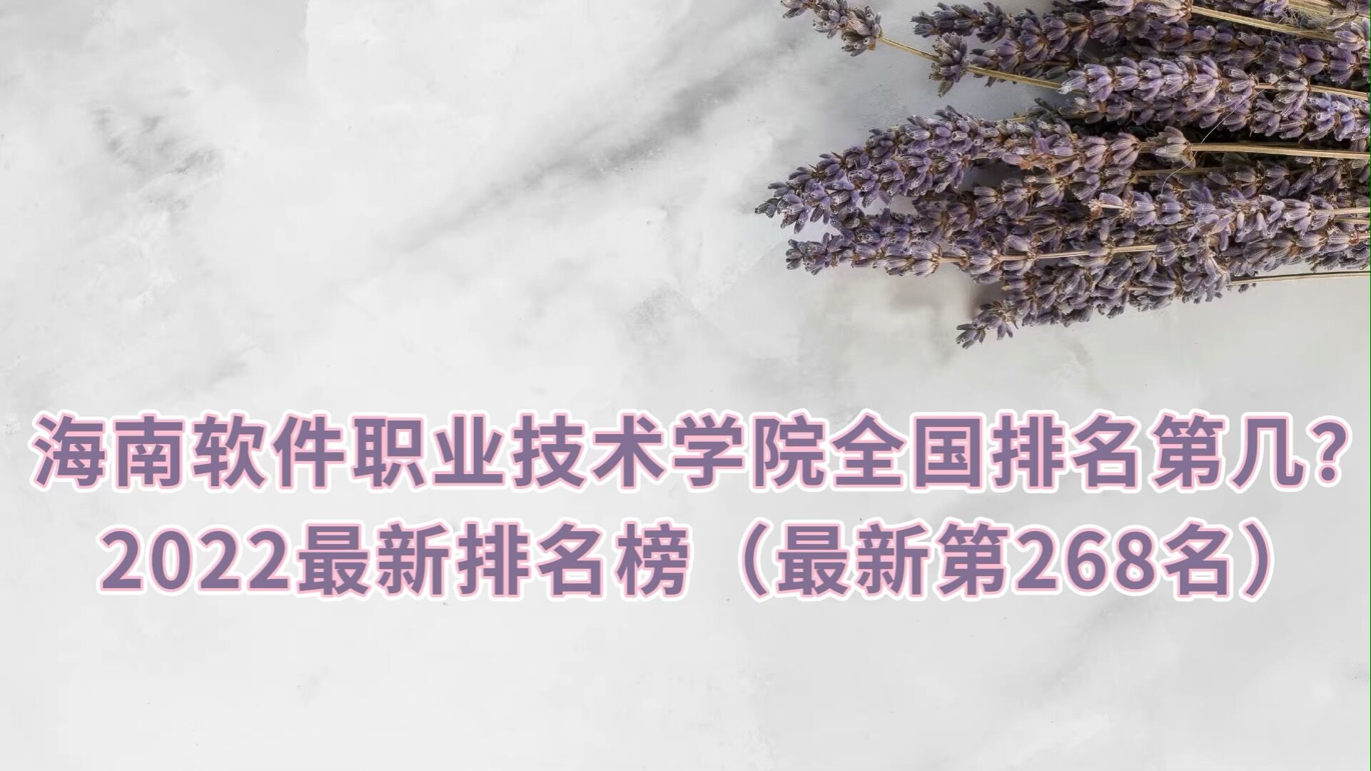 ְҵѧԺȫڼ2023񣨵268