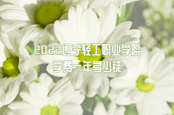 2023ṤְҵѧԺѧһǮרҵշѱ׼һ