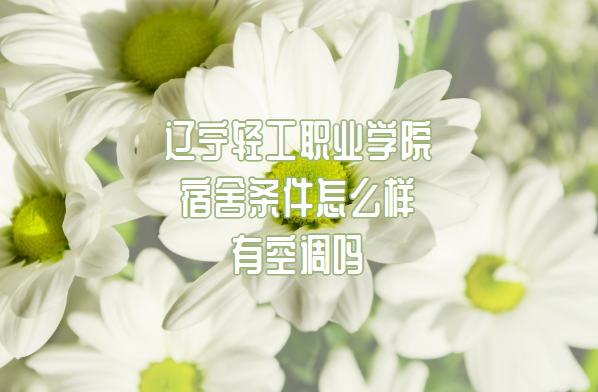 ṤְҵѧԺôпյ𣨸Ƭ