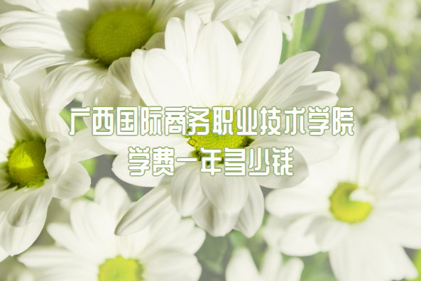 ְҵѧԺѧ2023һǮרҵշѱ׼