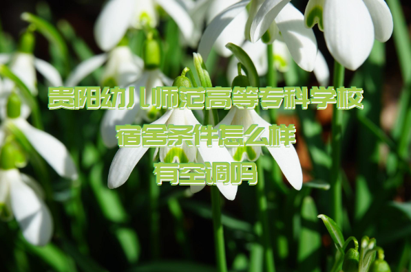 1661756922257928.png 贵阳幼儿师范高等专科学校宿舍条件怎么样?有空调吗附宿舍照片