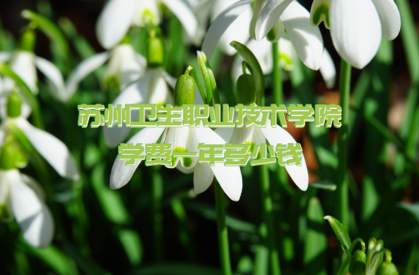 1661757345467923.png 苏州卫生职业技术学院学费2023年一年多少钱(附各专业收费标准一览表)