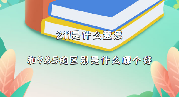211ʲô˼211985ʲôĸ(211/985ѧ)