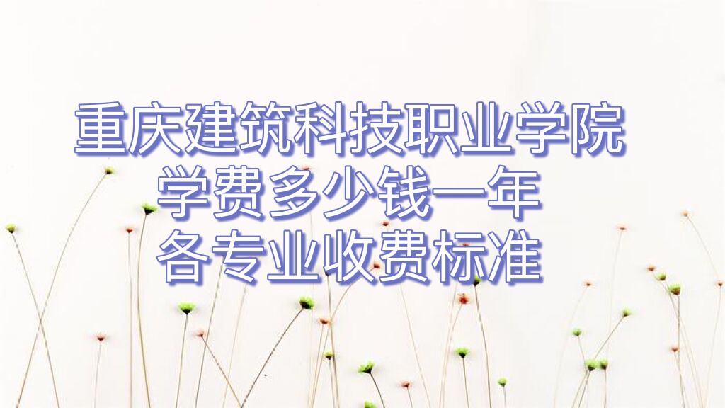 2023콨ƼְҵѧԺѧѶǮһ꣬רҵշѱ׼