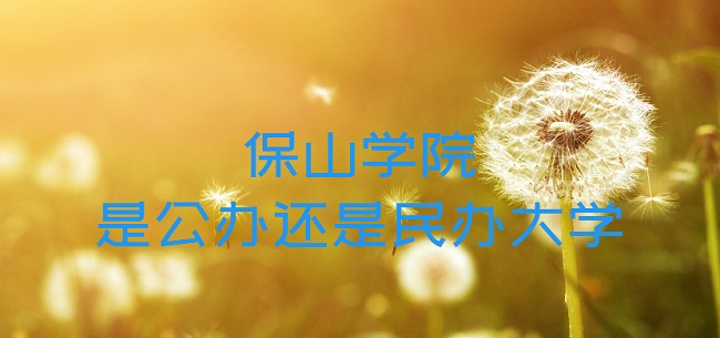 ɽѧԺǹ컹ѧרҵշѱ׼